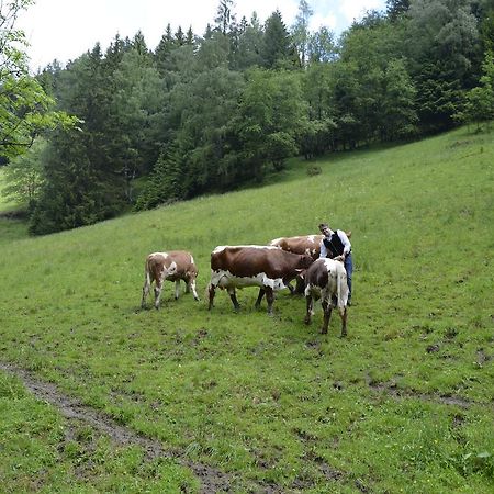 Panoramapension Lerchner 바트키르히하임 외부 사진